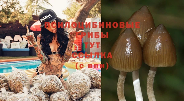 МДМА Беломорск