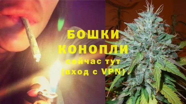 Альфа ПВП Белокуриха