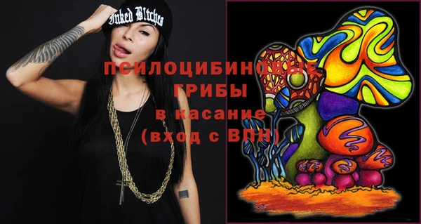 Альфа ПВП Белокуриха