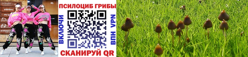 дарнет шоп  Волгореченск  ссылка на мегу ссылка  маркетплейс официальный сайт  Галлюциногенные грибы мицелий 